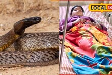 15 वर्षांच्या पूजाच्या मागे लागला साप? 3 महिन्यात 7 वेळा केला दंश, जालन्यातील विचित्र घटना, VIDEO