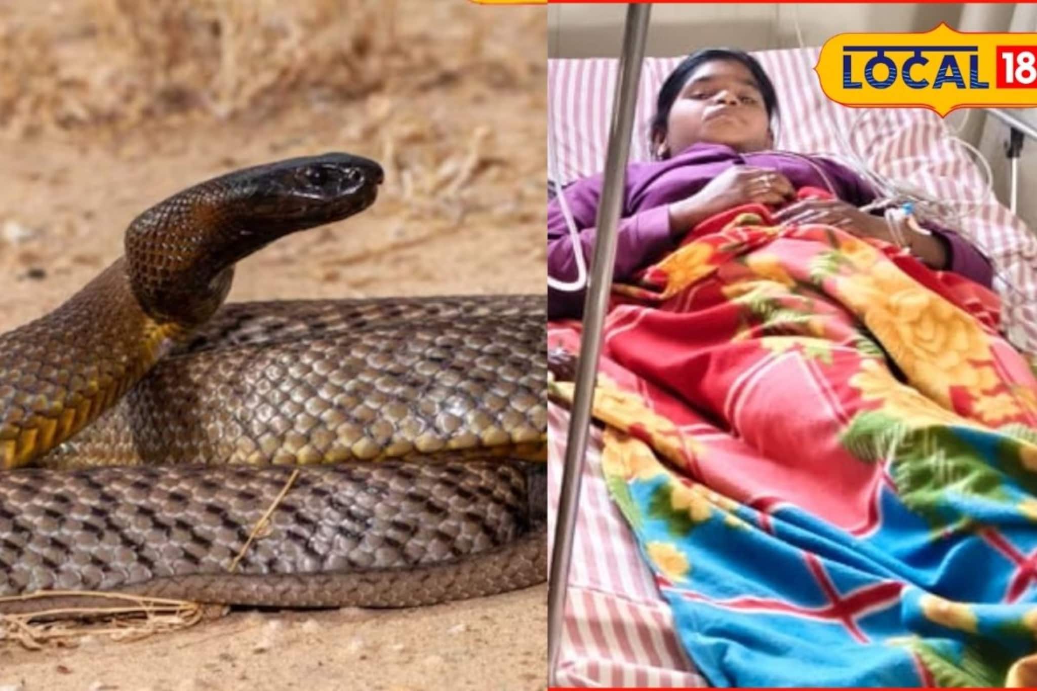 15 वर्षांच्या पूजाच्या मागे लागला साप? 3 महिन्यात 7 वेळा केला दंश, जालन्यातील...