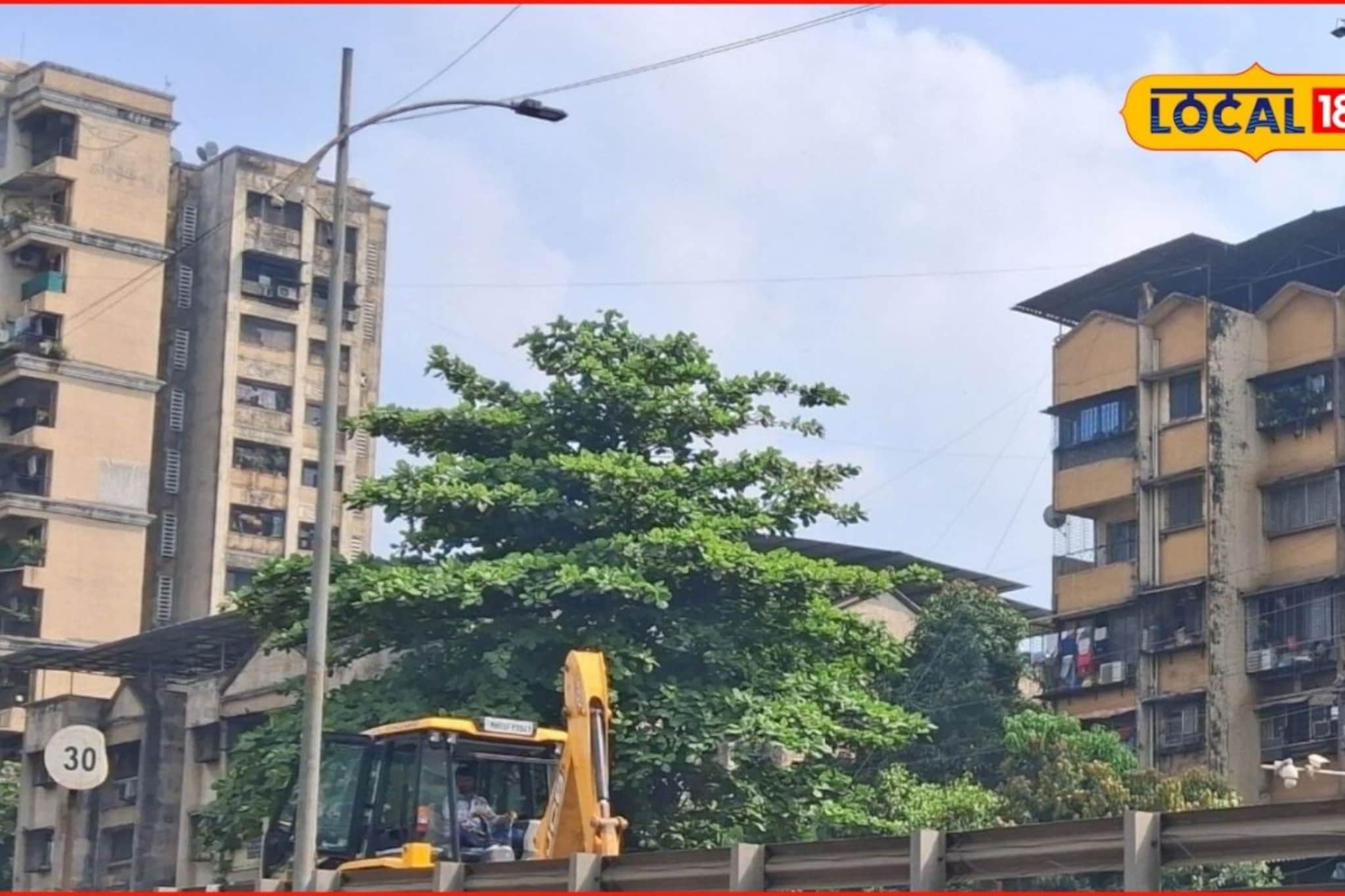 30 जानेवारीला वारं फिरलं, कल्याण-डोंबिवलीच्या हवामानात मोठे बदल, IMD चा अलर्ट