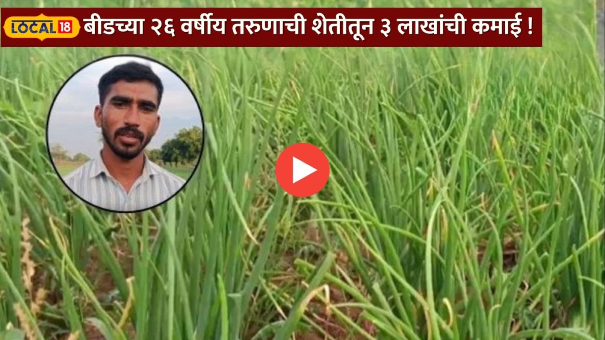 पुण्यातील नोकरी सोडली, अन् १ एकर शेतीत पेरलं सोनं; बीडच्या २६ वर्षीय विष्णू राठोड यांची शेतीतून ३ लाखांची कमाई !