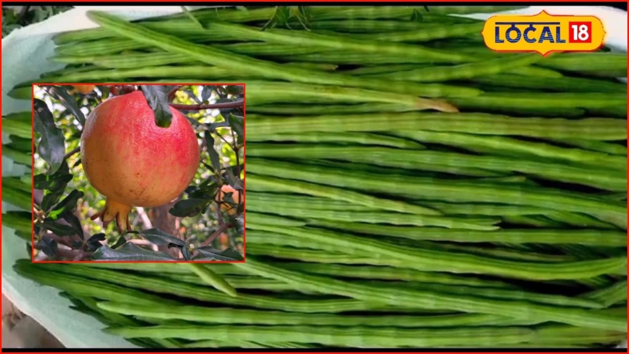 APMC Market: डाळिंबानं मार्केट खाल्लं, रविवारी शेवगा आणि गुळाला किती मिळाला दर?