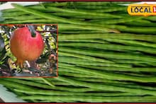 APMC Market: डाळिंबानं मार्केट खाल्लं, रविवारी शेवगा आणि गुळाला किती मिळाला दर?