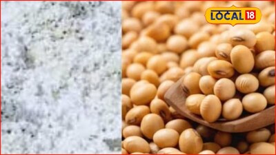 APMC Market: कांदा, तुरीचं मार्केट हाललं, कपाशी अन् सोयाबीनचे भाव काय? मंगळवारचं अपडेट