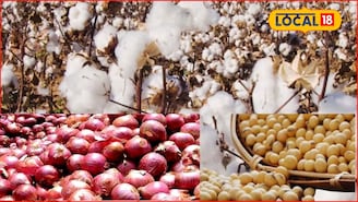 जानेवारीअखेर कृषी मार्केट हाललं, सोयाबीन, तूर तेजीत; कांदा, कपाशीला किती भाव?