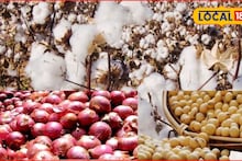 APMC Market: जानेवारीअखेर कृषी मार्केट हाललं, सोयाबीन, तूर तेजीत; कांदा, कपाशीला किती मिळाला भाव?