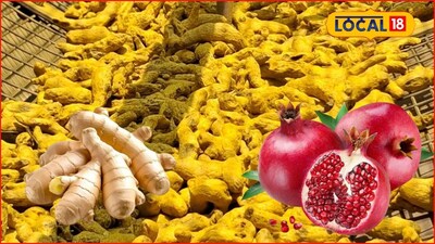 APMC Market: आले, डाळिंब तेजीत, हळदीनंही मार्केट खाल्लं, कुठं मिळाला सर्वाधिक भाव?