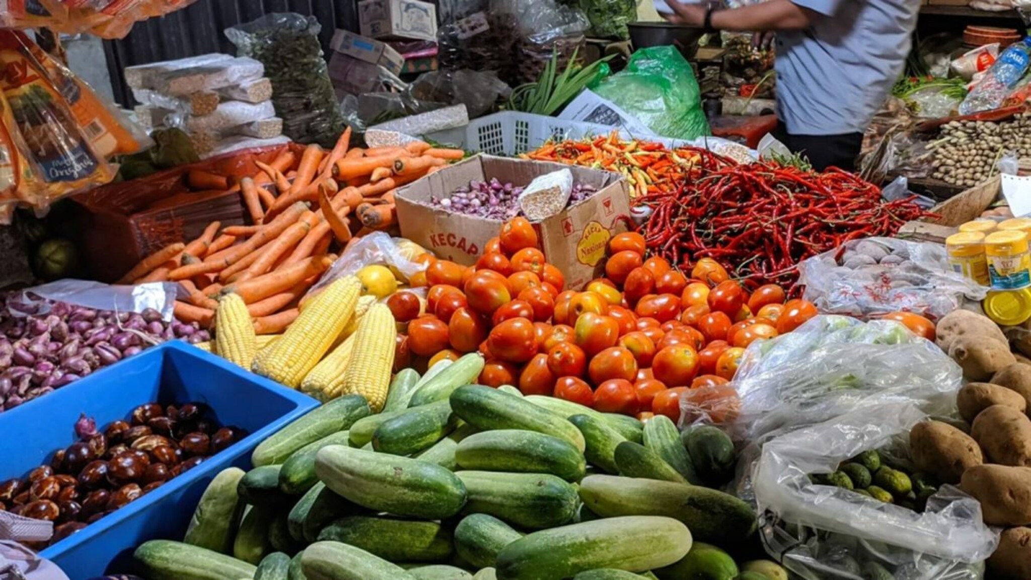 ठाणे जिल्ह्यात उभं राहतंय शेतकऱ्यांसाठी मल्टी मॉडेल हब, होणार लाखो टन शेतमालांची