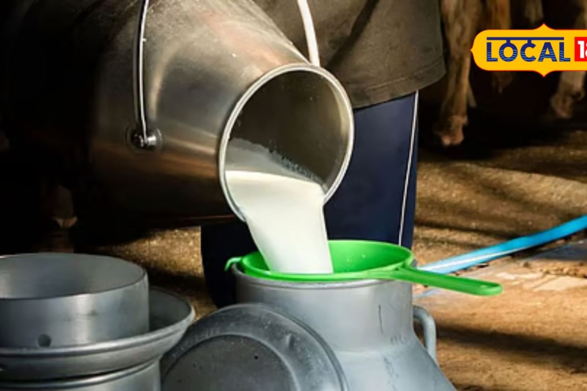 निरोगी समजून पित असलेलं दूधच ठरलं धोकादायक; अंधेरीतील धक्कादायक वास्तव समोर