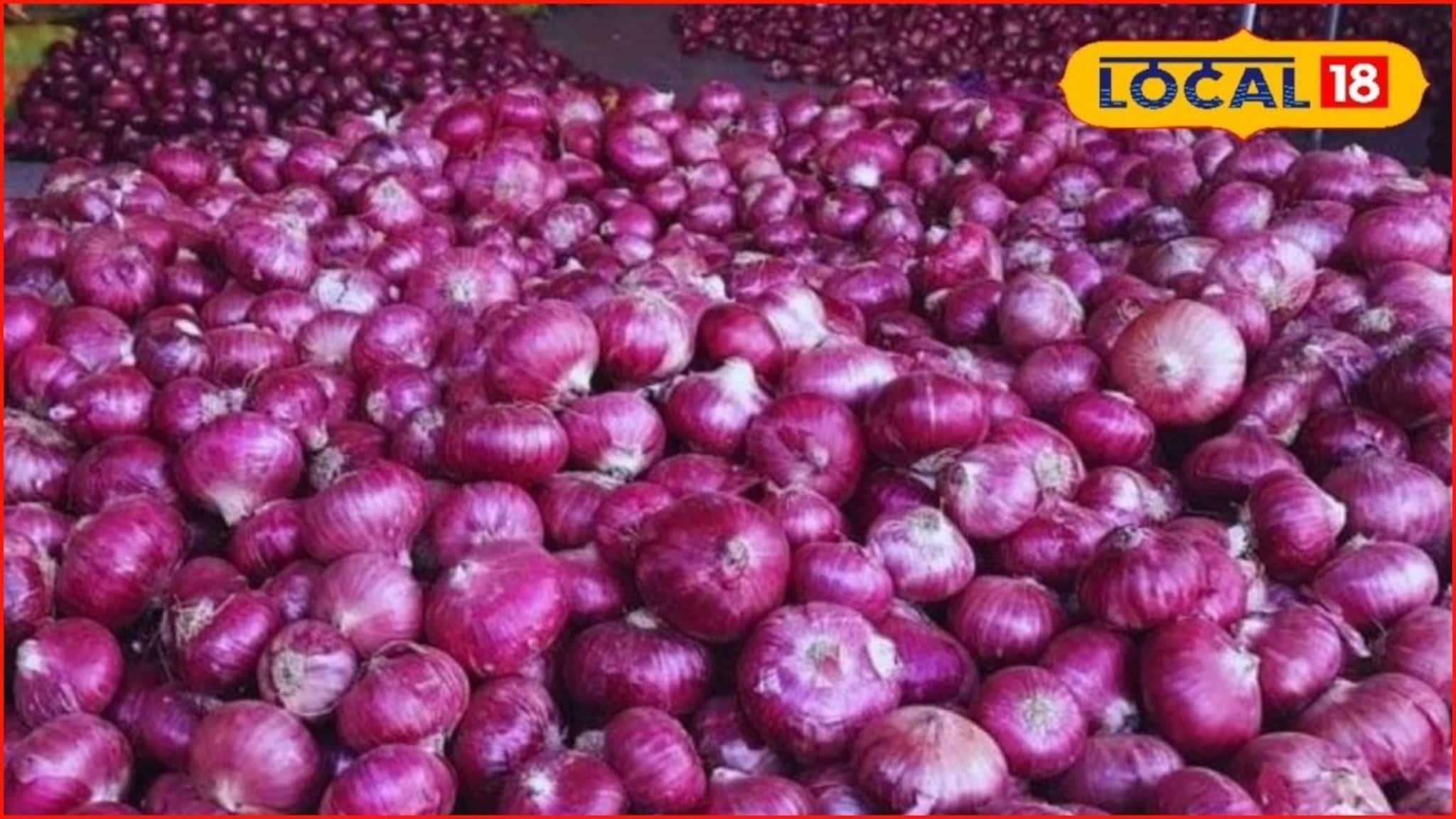 APMC Market: लिंबाचे दर तेजीत, द्राक्ष आणि कांद्याला काय मिळाला भाव? इथं चेक करा APMC Market: लिंबाचे दर तेजीत, द्राक्ष आणि कांद्याला काय मिळाला भाव? इथं चेक करा