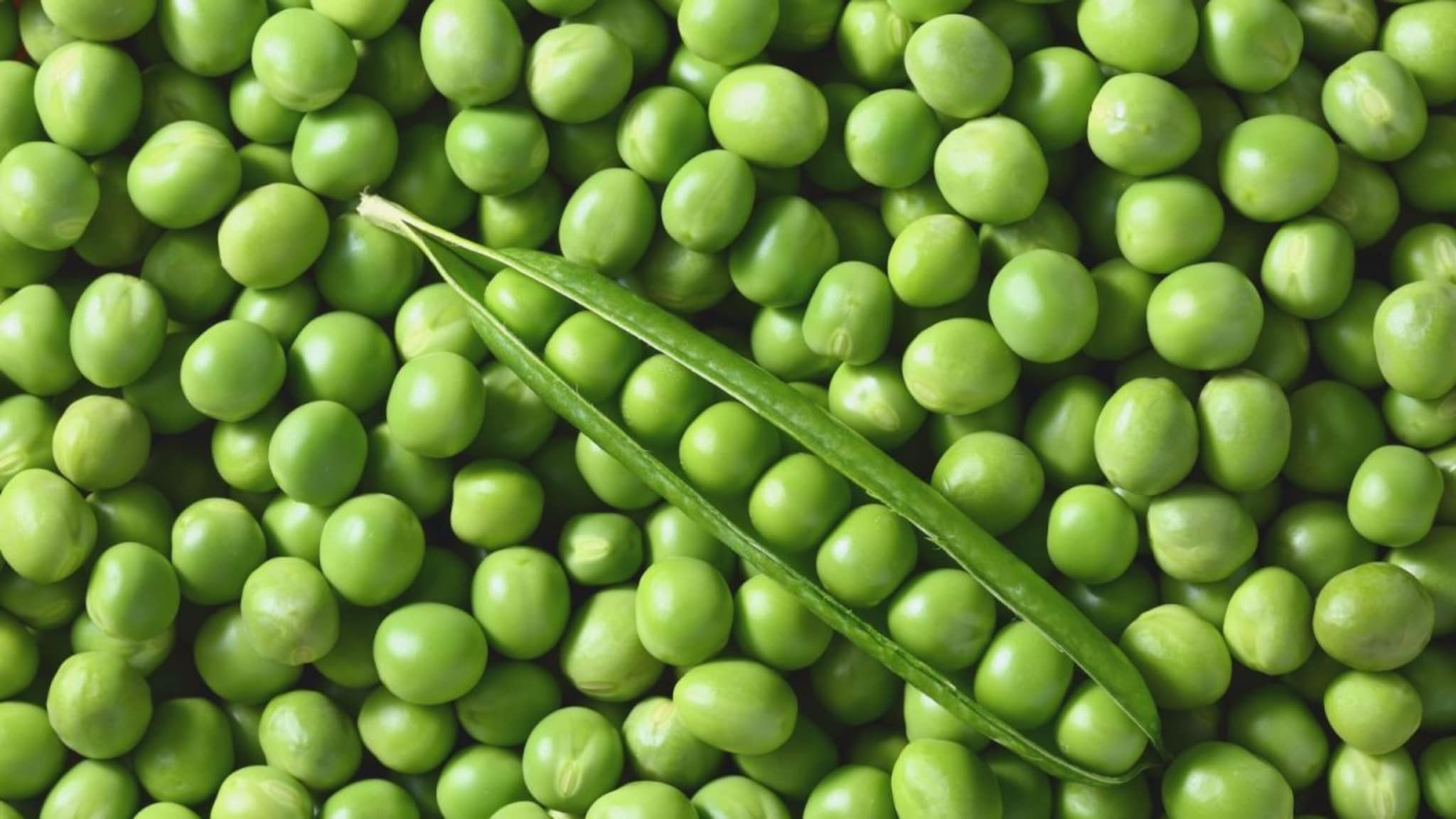 Matar Recipes :मटारपासून हेही बनू शकतं? 5 भन्नाट रेसिपी ज्या फारच कमी लोकांना माहीत आहेत