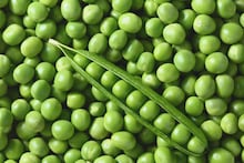 Matar Recipes :मटारपासून हेही बनू शकतं? 5 भन्नाट रेसिपी ज्या फारच कमी लोकांना माहीत आहेत