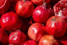 Krushi Market Rate: डाळिंबाला मिळालेल्या भावाने शेतकरी सुखावला, नवीन वर्षाच्या सुरूवातीलाच दमदार दर