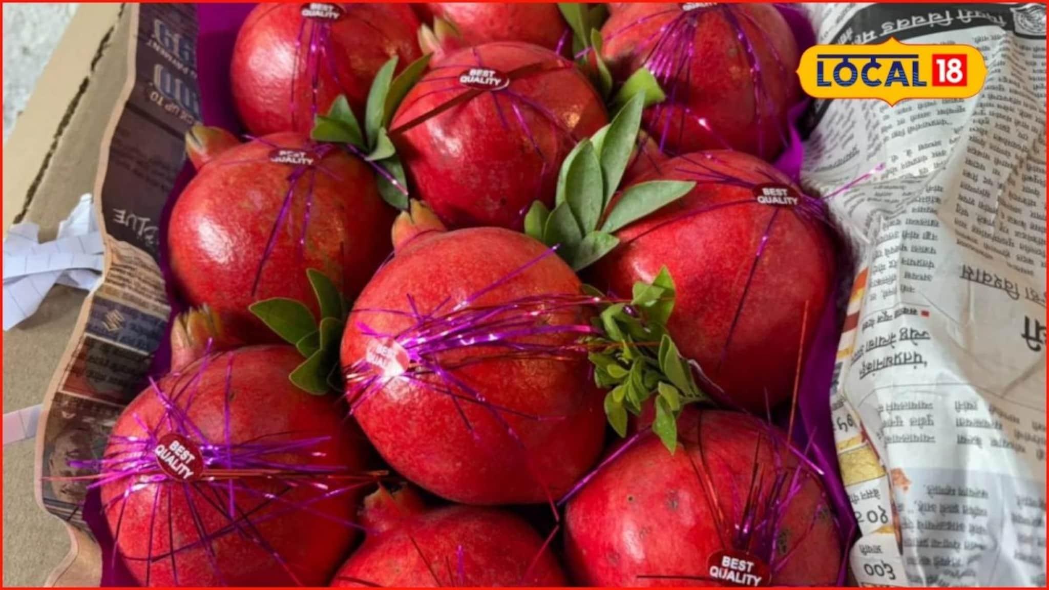 लाल सोन्यानं मार्केट खाल्लं! डाळिंबाला उच्चांकी दर, पुण्यात किती मिळाला भाव? Vid लाल सोन्यानं मार्केट खाल्लं! डाळिंबाला उच्चांकी दर, पुण्यात किती मिळाला भाव? Vid