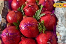 लाल सोन्यानं मार्केट खाल्लं! डाळिंबाला उच्चांकी दर, पुण्यात किलोला किती मिळाला भाव? Video