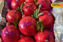 APMC Market Rate: डाळिंबाचं मार्केट कोलमडलं, सर्वात कमी भाव; इतर फळांचे दर किती?