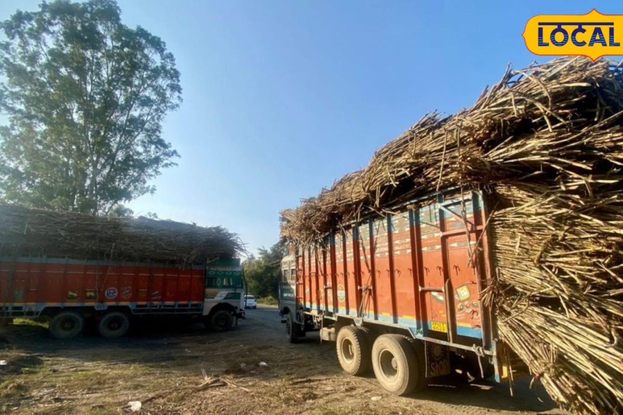 ट्रकमधील ऊसाला बांधलेला दोर गळ्यात अडकला अन्.. दुचाकीस्वाराचा थरकाप उडवणारा शेवट ट्रकमधील ऊसाला बांधलेला दोर गळ्यात अडकला अन्.. दुचाकीस्वाराचा थरकाप उडवणारा शेवट