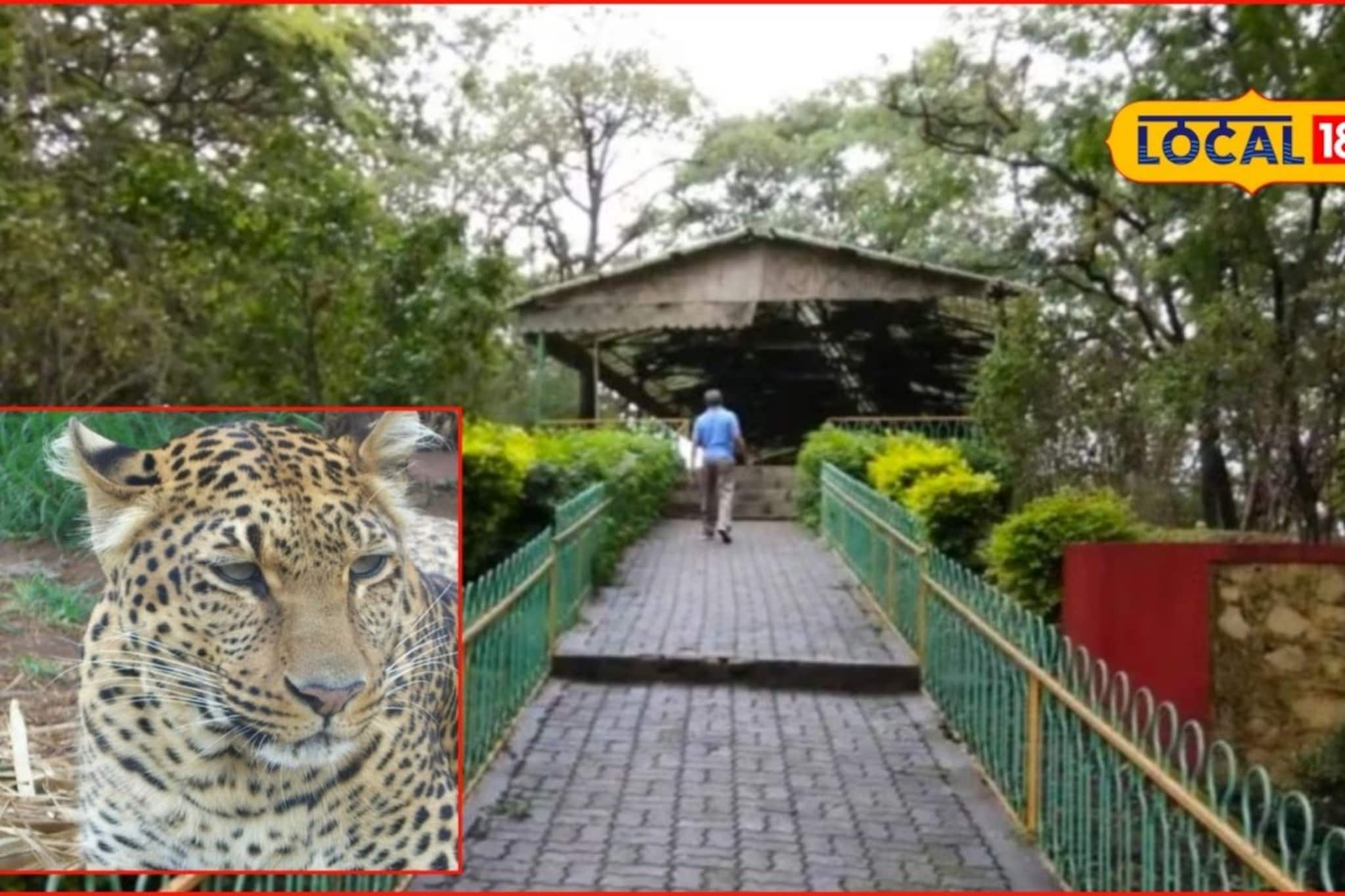 Pune Leopard: बिबट्याची दहशत, पुण्यातील लोकप्रिय उद्यान बंद, नागरिकांना आवाहन