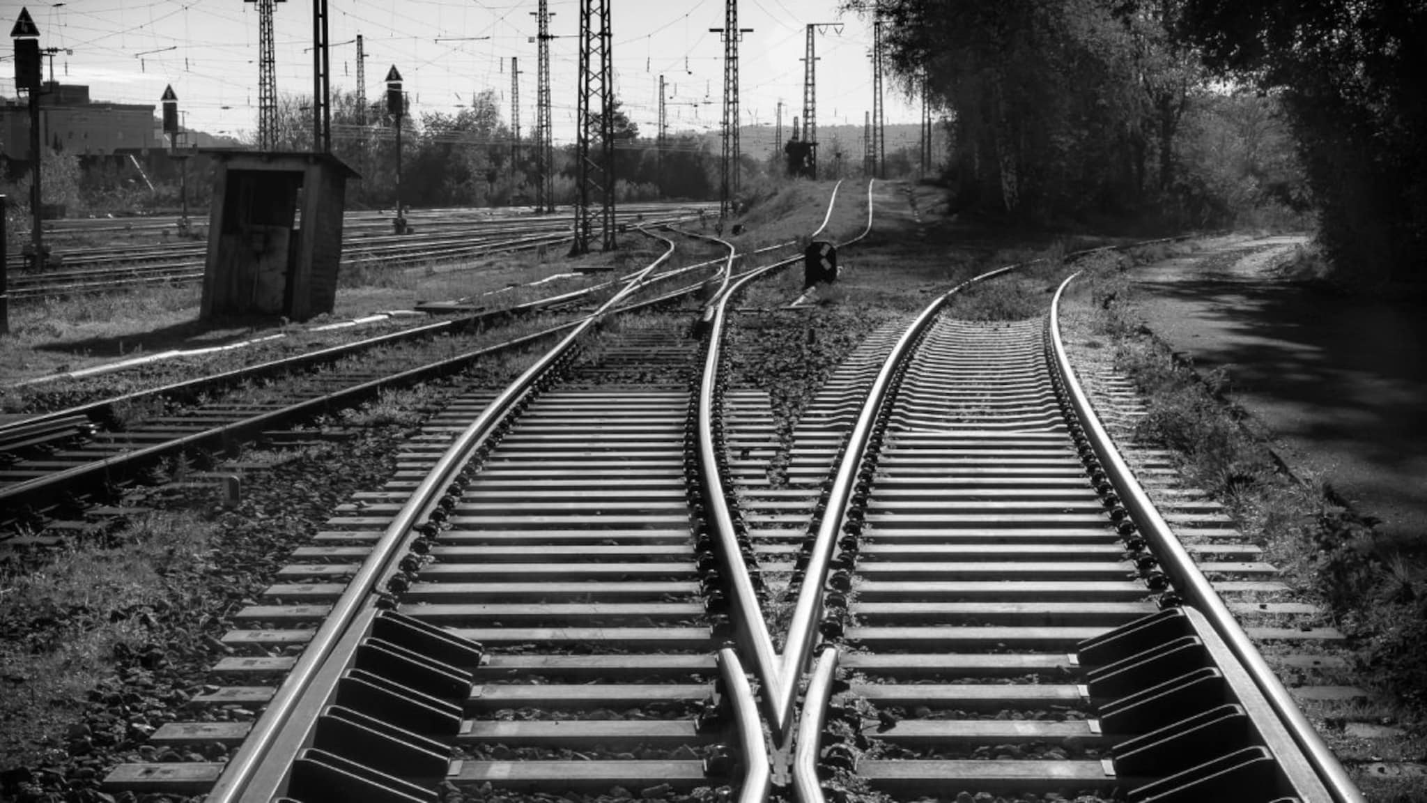 Indian Railway : रेल्वे रूळ खुले असूनही Safe कसे? ते चोरी का होत नाही? यामागचं कारण तुम्हाला आश्चर्यचकीत करेल