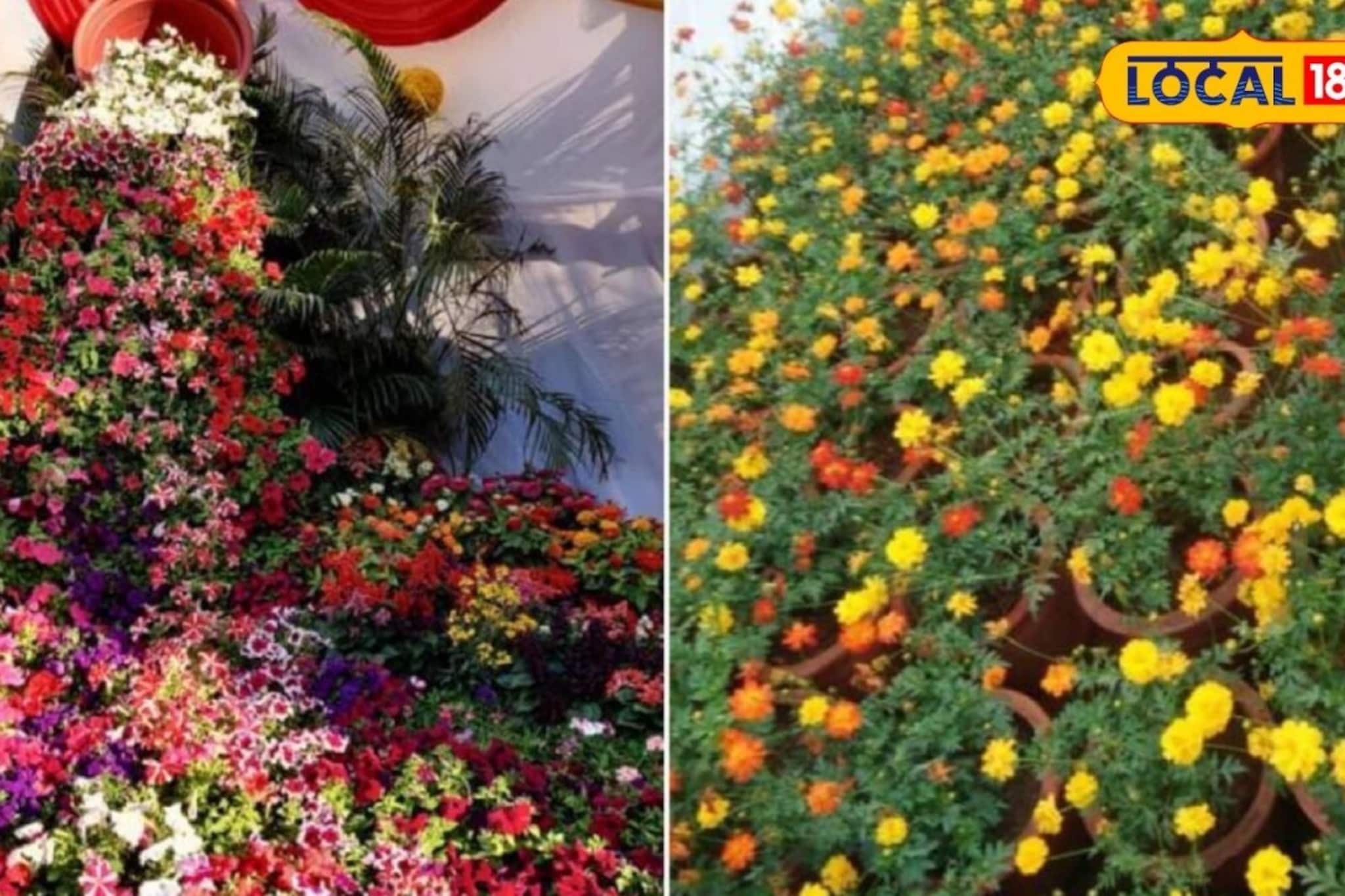 Ranichi Baug: राणीच्या बागेत अनोखा पुष्पोत्सव! यंदाचं आकर्षण काय? आयोजन कधी? Ranichi Baug: राणीच्या बागेत अनोखा पुष्पोत्सव! यंदाचं आकर्षण काय? आयोजन कधी?