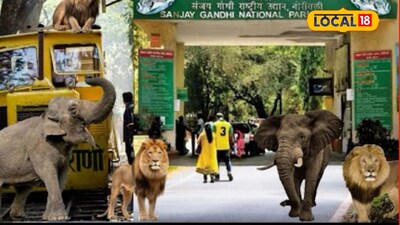 संजय गांधी राष्ट्रीय उद्यान 2 दिवस बंद, पर्यटक आणि शालेय विद्यार्थ्यांसाठी महत्त्वाचं अपडेट