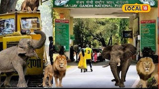 संजय गांधी राष्ट्रीय उद्यान 2 दिवस बंद, पर्यटक आणि शालेय विद्यार्थ्यांसाठी महत्त्वाचं अपडेट