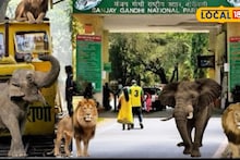 Mumbai News: संजय गांधी राष्ट्रीय उद्यान सुरू राहणार की बंद? महत्त्वाचं अपडेट समोर