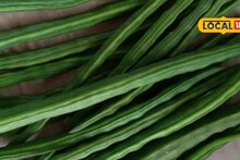 डाळिंबाचे भाव तेजीत, शेवगा आणि गुळाला काय मिळाला भाव? इथं चेक करा