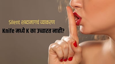 प्रतिकात्मक फोटो