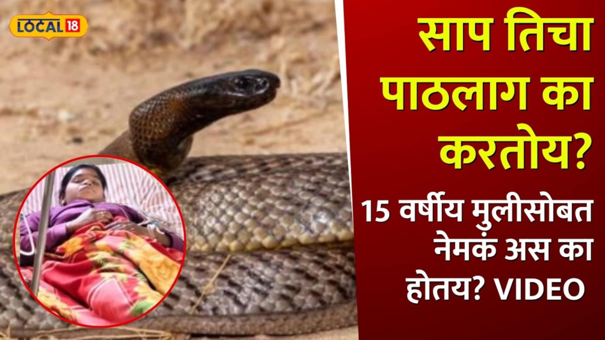 साप तिचा पाठलाग का करतोय? गाव सोडलं तरी दंश चुकेना; १५ वर्षांच्या मुलीसोबत घडणाऱ्या 'या' प्रकाराने तज्ज्ञही बुचकळ्यात