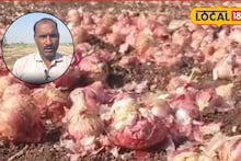 Agriculture News : कांद्याने केले हाल, विक्रीतून लागवडी खर्चही नाही निघाला, शेतकरी हवालदिल