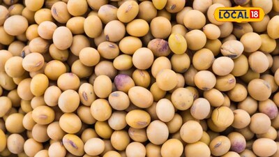 किसानों के लिए खुशखबरी: सोयाबीन और तुअर के दाम बढ़े, कपास में गिरावट जारी