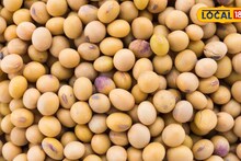 सोयाबीन दर पुन्हा वाढले, मका आणि कांद्याची काय स्थिती? इथं चेक करा