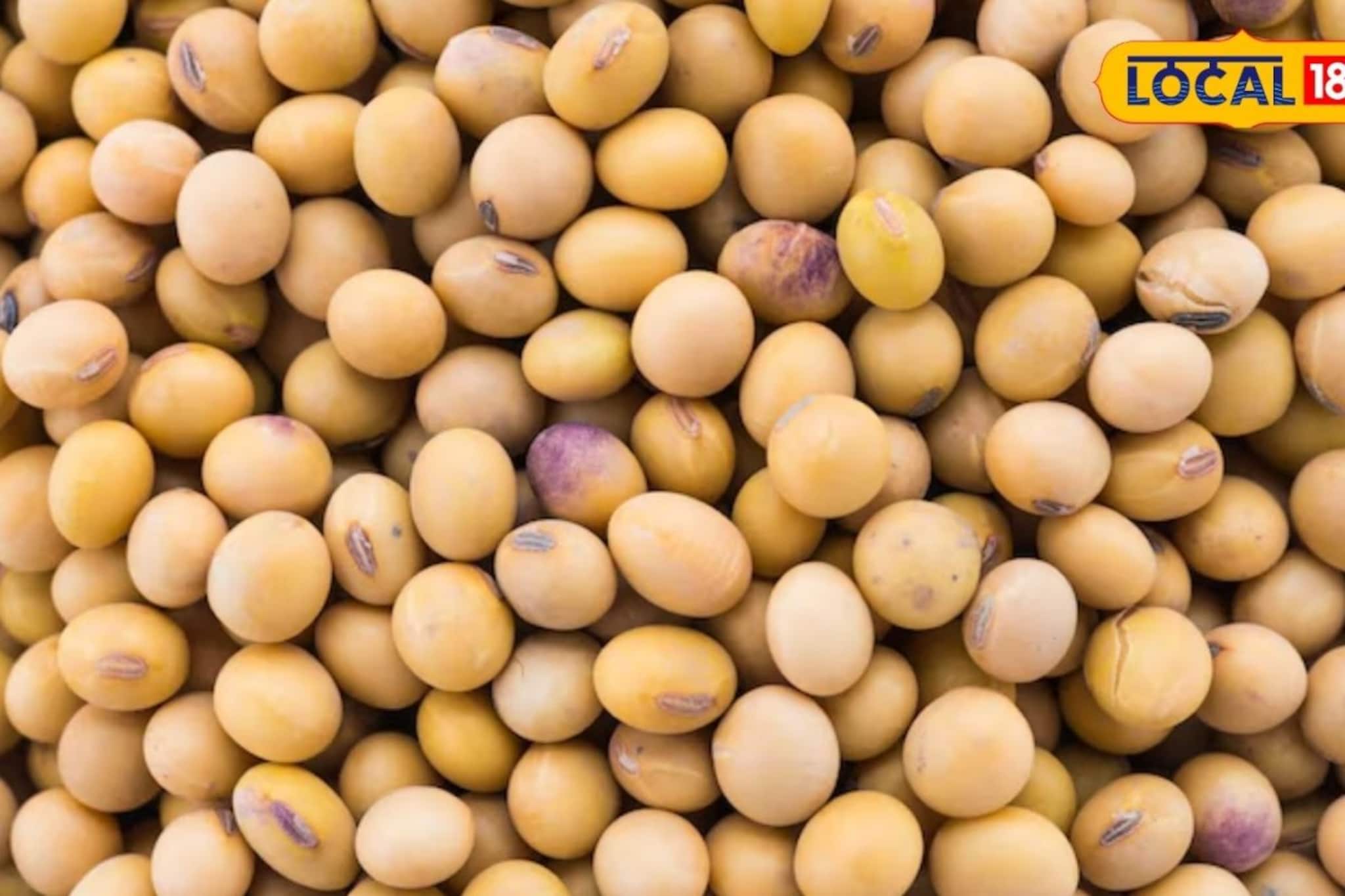 सोयाबीन दर पुन्हा वाढले, मका आणि कांद्याची काय स्थिती? इथं चेक करा