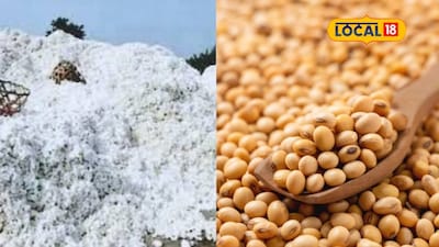 Cotton, Soybean Prices Rise; Onion Improves, Tur Declines in Maharashtra Markets
