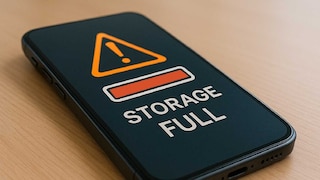 स्टोरेज फूल