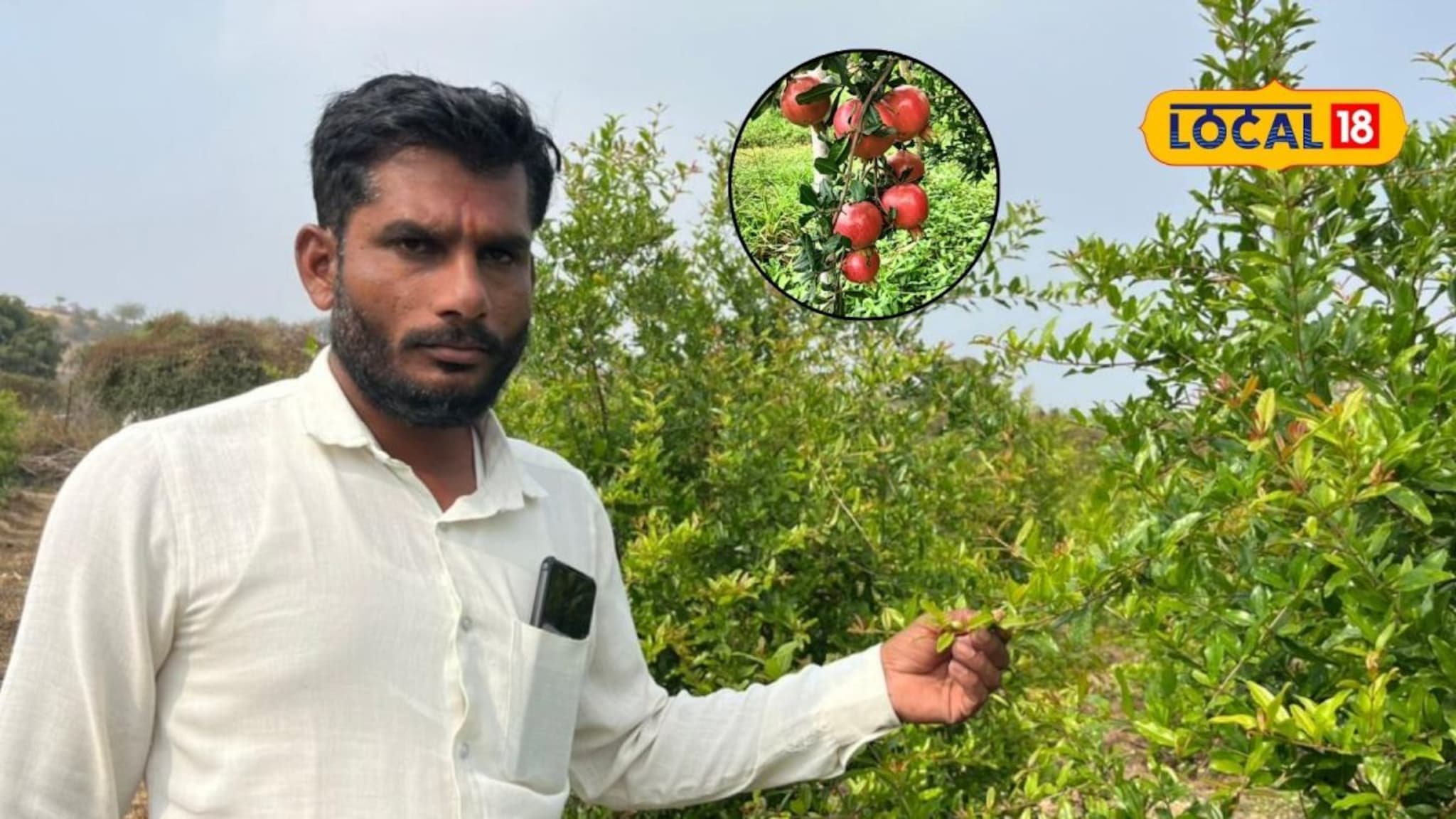 Success Story : तोट्यात जाणाऱ्या डाळिंब शेतीमध्ये केला 'हा' बदल, आता 2 एकरात मिळालं 18 लाख उत्पन्न, शेतकऱ्यानं सांगितला फॉर्म्युला, Video