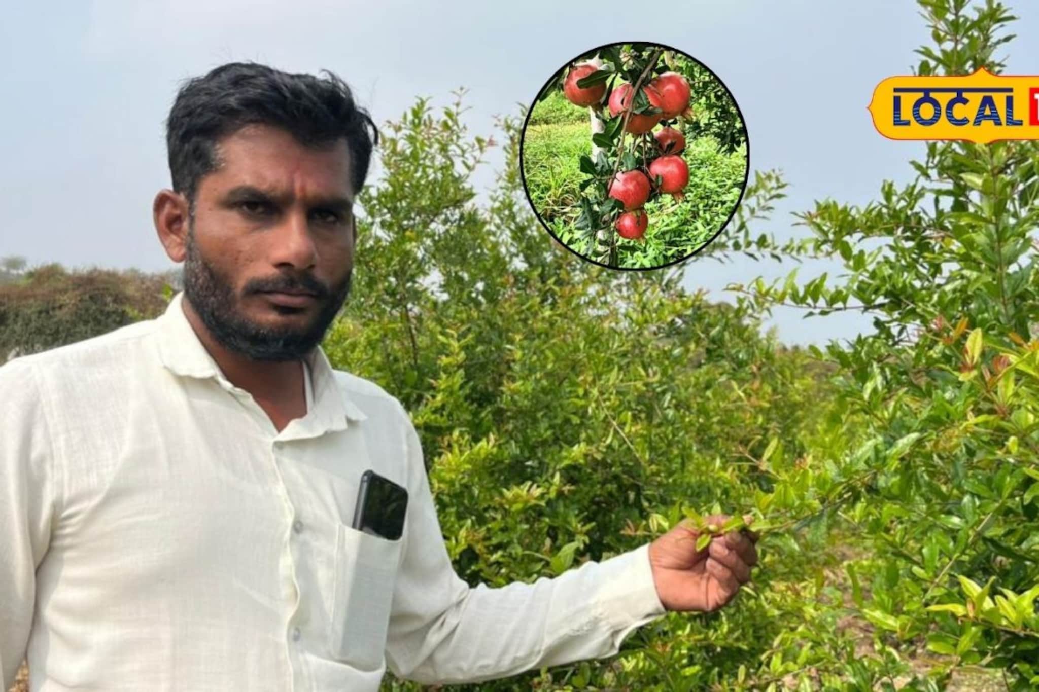 डाळिंब शेतीमध्ये केला 'हा' बदल, मिळालं 18 लाख उत्पन्न, सांगितला फॉर्म्युला