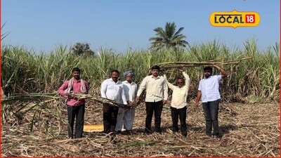 सांगली के किसान का कमाल: 30 गुंठा में 90 टन गन्ने का रिकॉर्ड उत्पादन.