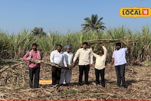 Success Story : सांगलीच्या शेतकऱ्याची कमाल, 30 गुंठ्यात घेतलं 90 टन ऊस उत्पादन, कशी केली शेती?