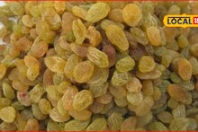 Success Story : शेतकऱ्यानं शेतीत लावलं डोकं, बेदाणा विक्रीनं पालटलं नशीब, 14 लाखांची कमाई