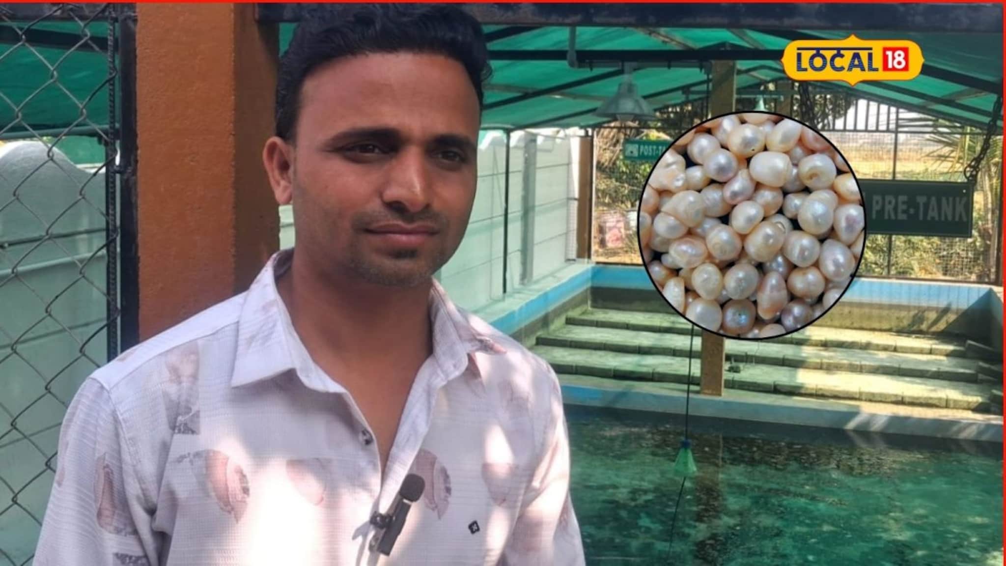 Success Story : इंजिनिअर रमला शेतीमध्ये, शिंपल्यांपासून मोती उत्पादनाची रचली यशोगाथा, वर्षाला 30 लाखांची कमाई, Video