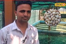 Success Story : इंजिनिअर रमला शेतीमध्ये, शिंपल्यांपासून मोती उत्पादनाची रचली यशोगाथा, वर्षाला 30 लाखांची कमाई, Video