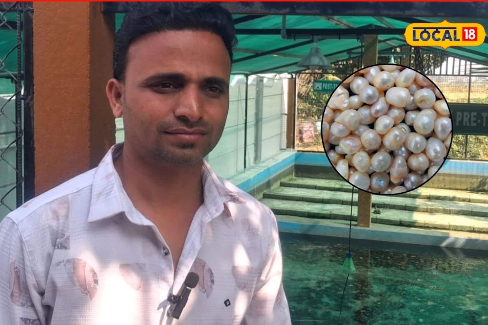 इंजिनिअर रमला शेतीमध्ये, शिंपल्यांपासून मोती उत्पादनाची रचली यशोगाथा, Video इंजिनिअर रमला शेतीमध्ये, शिंपल्यांपासून मोती उत्पादनाची रचली यशोगाथा, Video