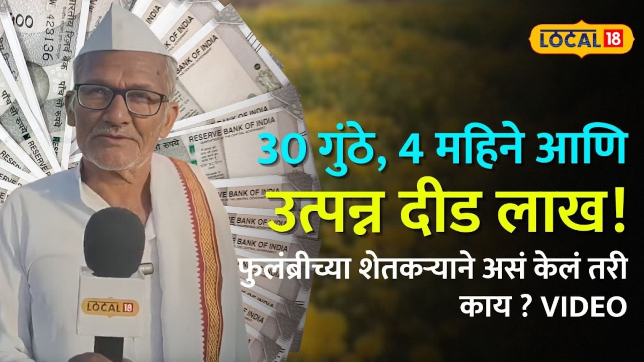 Success Story : 30 गुंठे , 4 महिने आणि उत्पन्न दीड लाख ! फुलंब्रीच्या शेतकऱ्याने असं केलं तरी काय ?