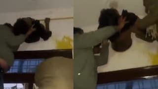 व्हायरल व्हिडीओ व्हायरल व्हिडीओ