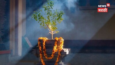 इन 5 जगहों पर भूलकर भी न रखें तुलसी का पौधा, छिन जाएगी घर की सुख-समृद्धि!