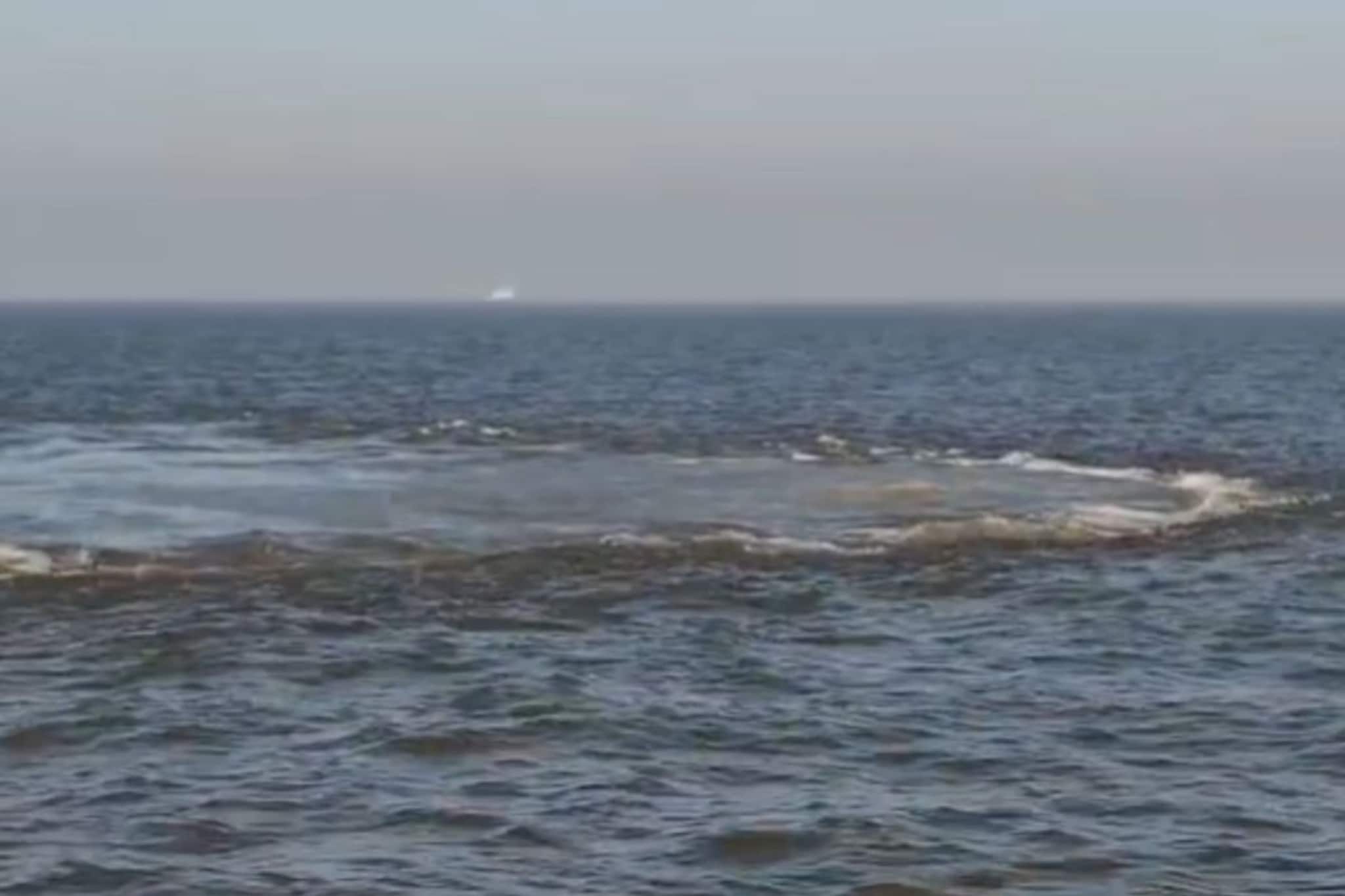 मुंबईच्या समुद्रात पहिल्यांदाच असं दृश्य, बोटीही पुढे जाईना, रिंगणाच गुढ काय? VI