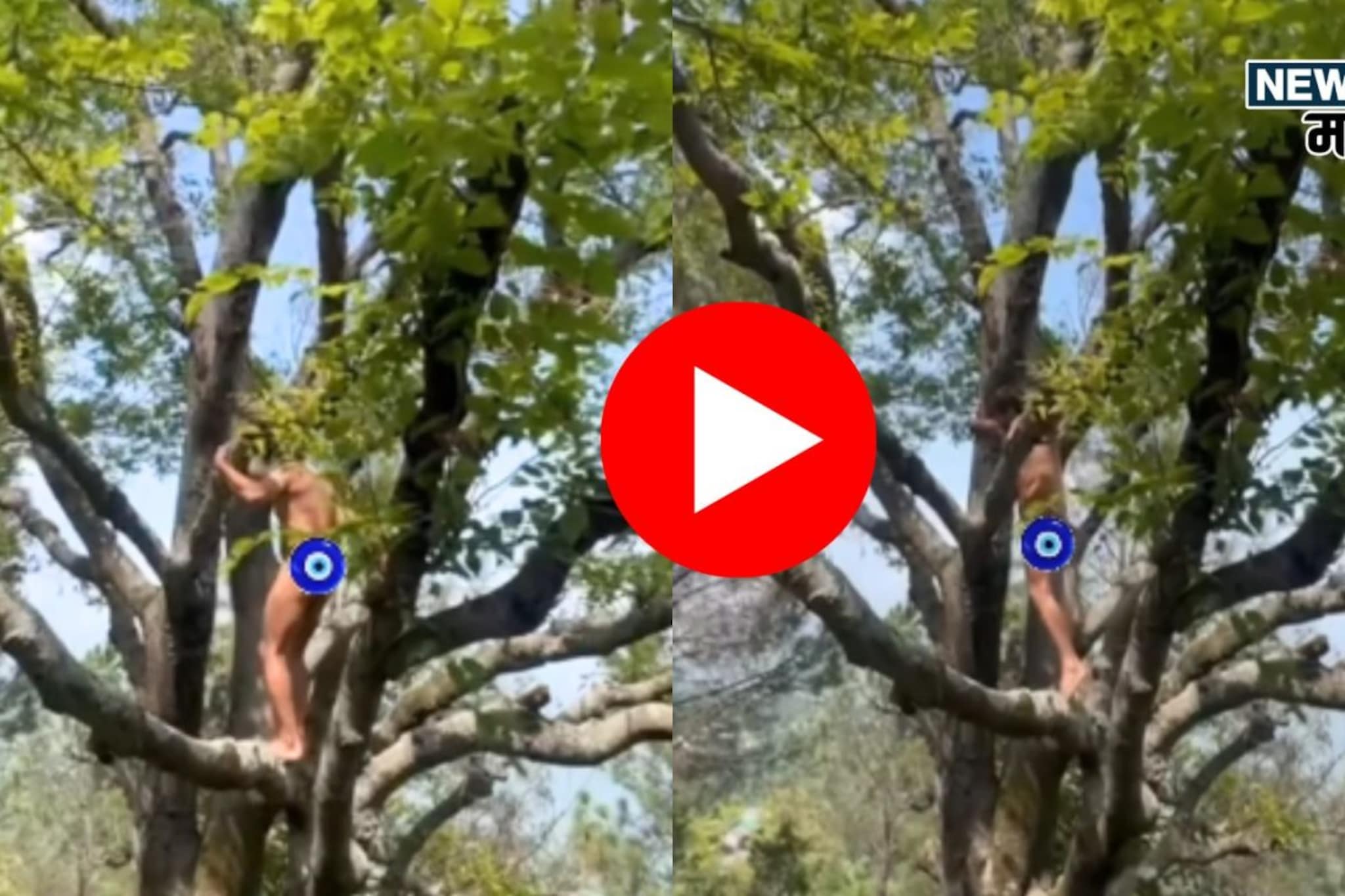 अंगावर एकही कपडा नाही, असाच झाडावर चढला अभिनेता; VIDEO पाहून डोळे बंद करायची वेळ