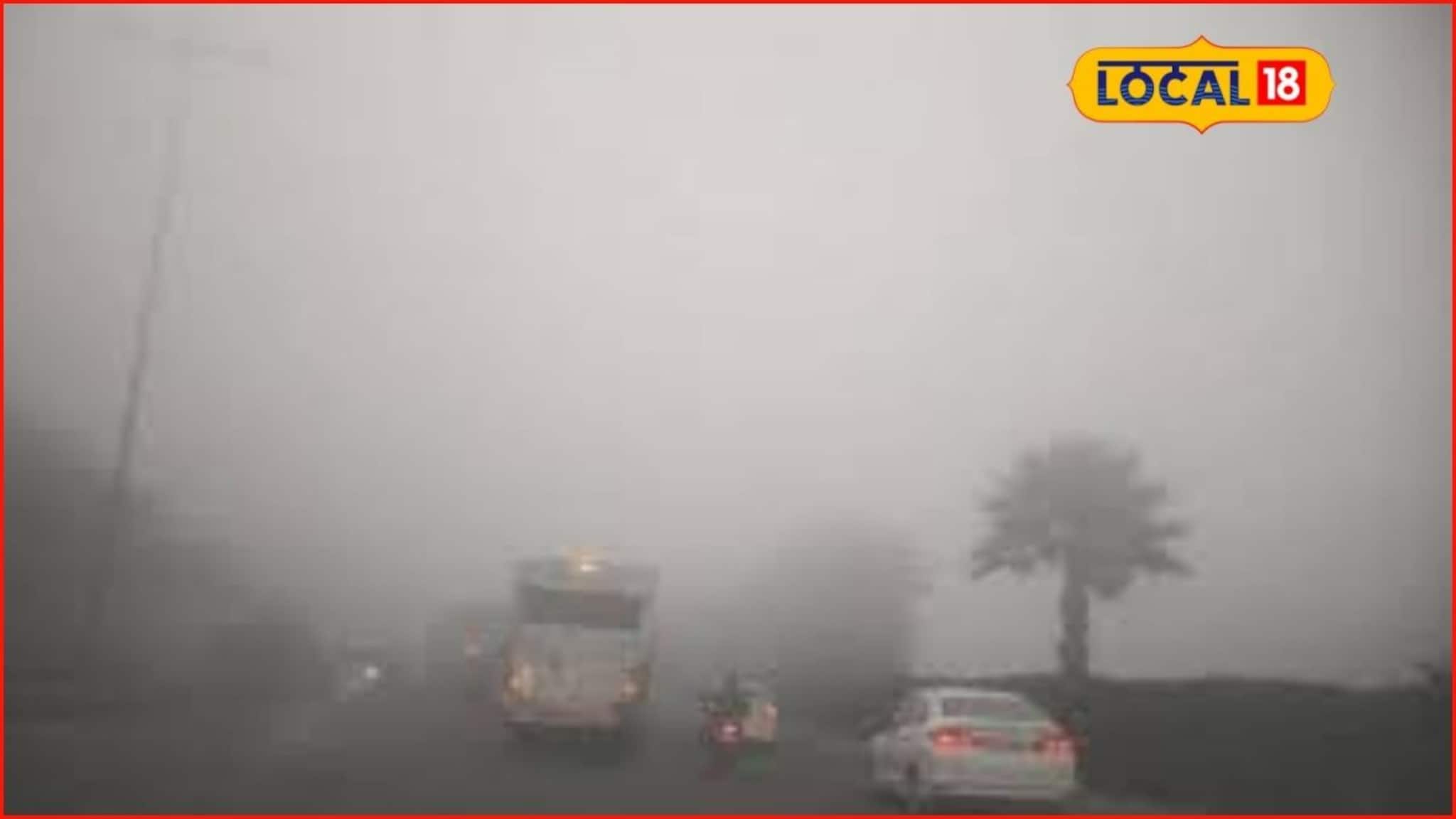 महाराष्ट्रात वारं फिरलं, पुन्हा येणार थंडीची लाट, या जिल्ह्यांना अलर्ट