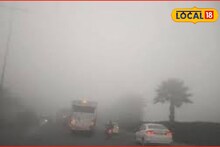 Weather Alert : महाराष्ट्रात वारं फिरलं, पुन्हा येणार थंडीची लाट, या जिल्ह्यांना अलर्ट